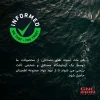 مکمل کراتین کراپیور مای پروتئین | Myprotein creatine creapure - 6